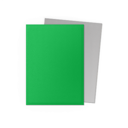 Dragon Shield: Standard 100ct Sleeves - Apple Green & Silver (Dual Matte)