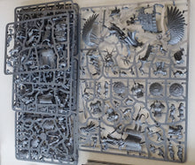 Dominion Stormcast Eternal Half with Cards